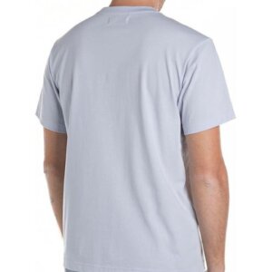 REPLAY T-SHIRT ΑΝΤΡΙΚΟ SKY GREY ΒΑΜΒΑΚΕΡΟ M3047.000.23732P.579 REGULAR FIT